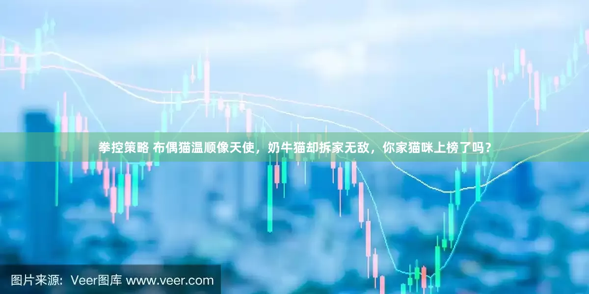 拳控策略 布偶猫温顺像天使，奶牛猫却拆家无敌，你家猫咪上榜了吗？