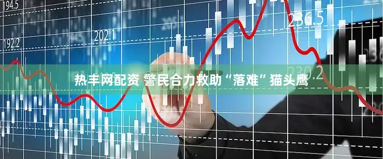 热丰网配资 警民合力救助“落难”猫头鹰