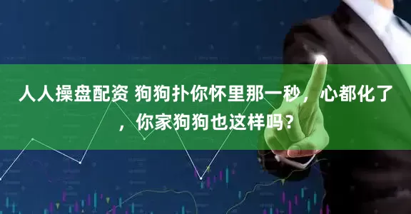 人人操盘配资 狗狗扑你怀里那一秒，心都化了，你家狗狗也这样吗？